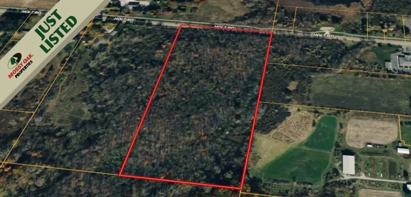 20+/- ACRES/INGHAM COUNTY/RECREATIONAL LAND