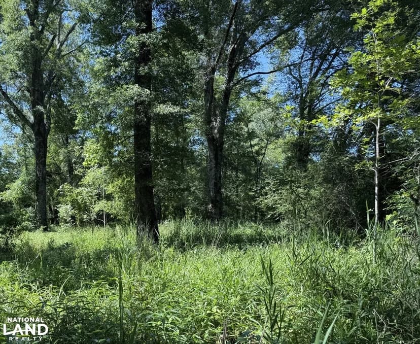Nice 41.3 ac acres Residential/ Business/Hunting Tract Near Meta Site
