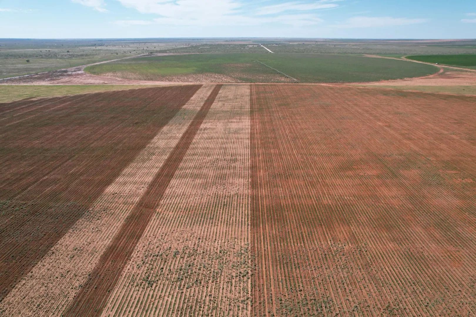 320 Acres of Land for Sale in Plains, TX - Plains, Texas, 79355
