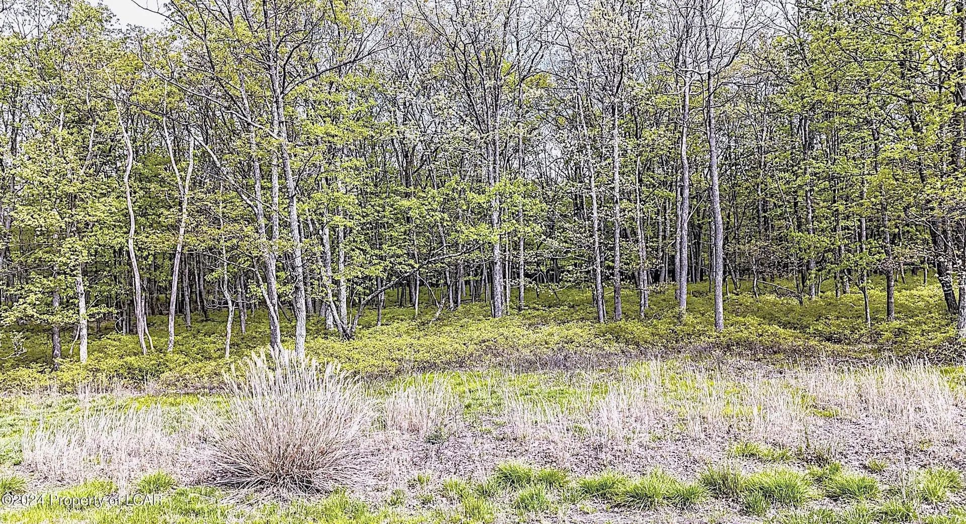 Lots & Land-Other in Hazle Twp - Pennsylvania, 18202