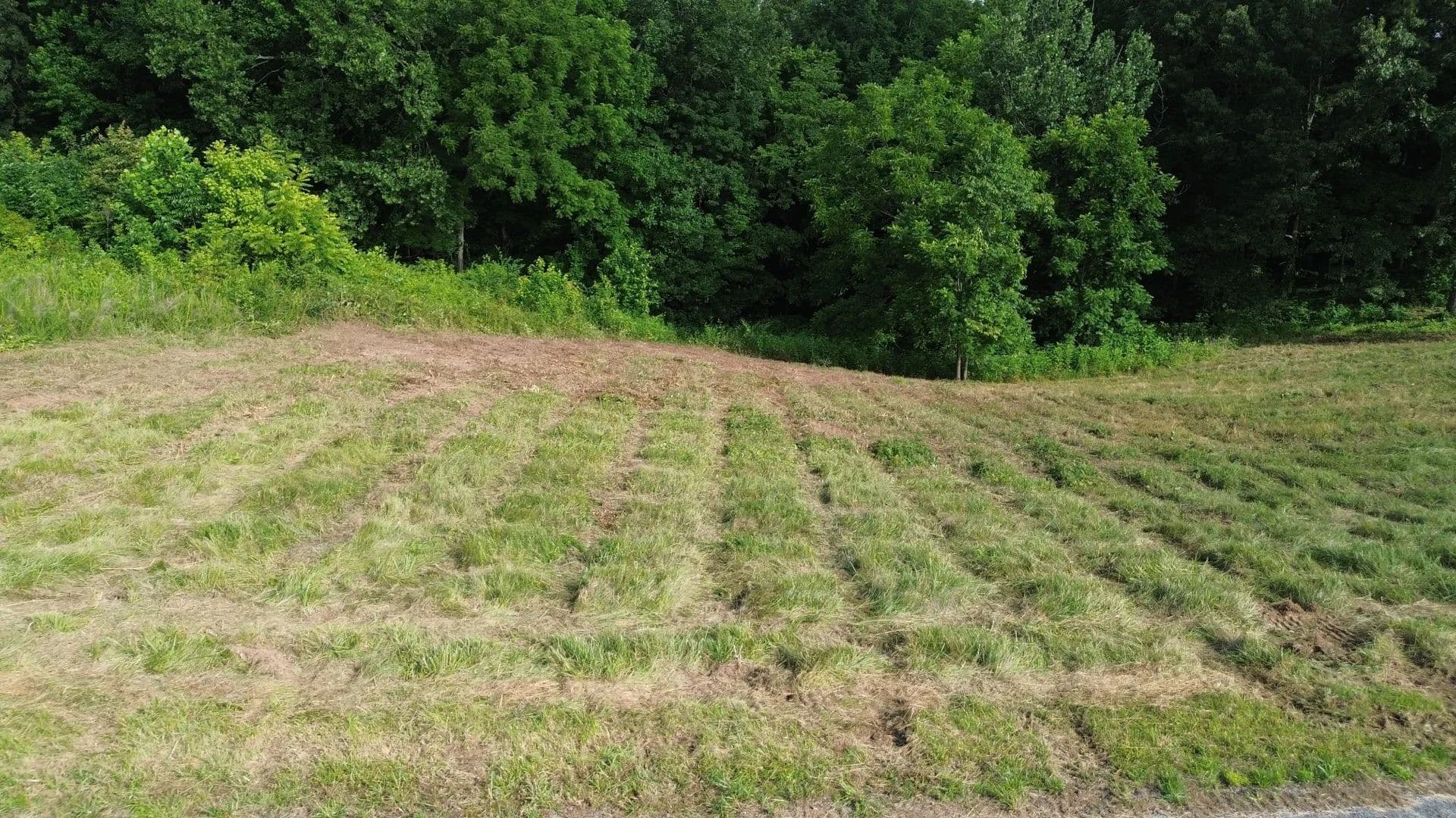 0.97 Acres of Land for Sale in Smithville, TN - Smithville, Tennessee, 37166