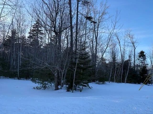 Land -Single Family Acreage in Owls Head