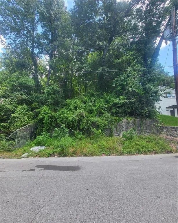 Vacant Land in Atlanta - Atlanta, Georgia, 30314