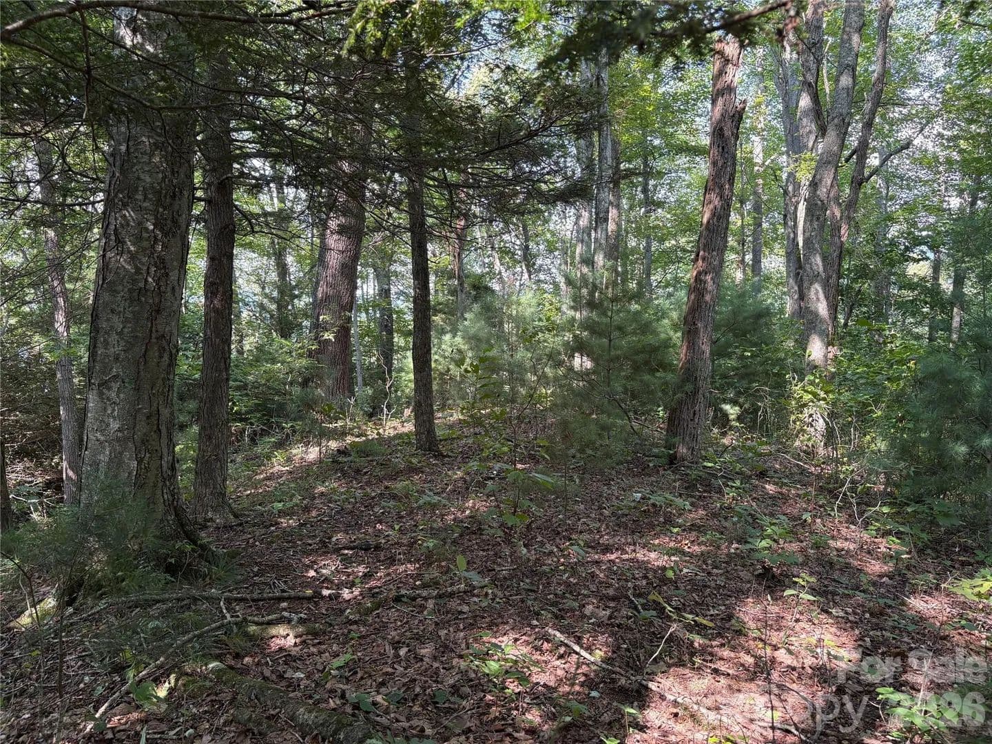 3.73 Acres of Land for Sale in Waynesville, NC - Waynesville, North Carolina, 28785