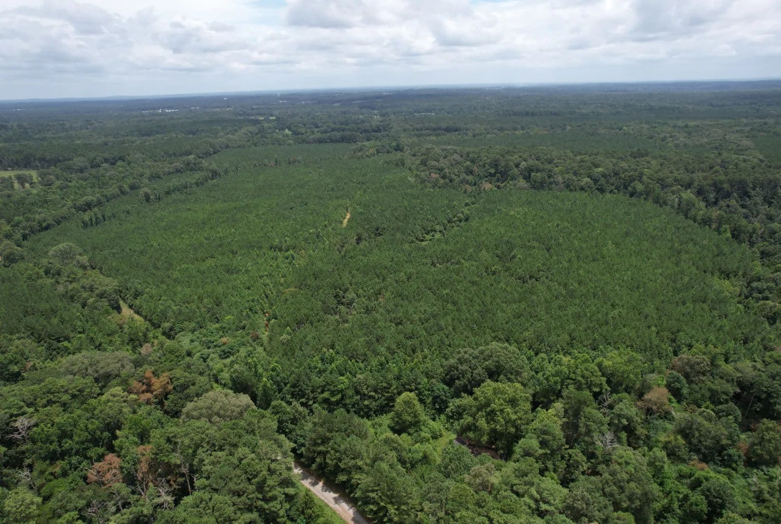 124 Acres in Smith County in Raleigh, MS - Raleigh, Mississippi, 39153