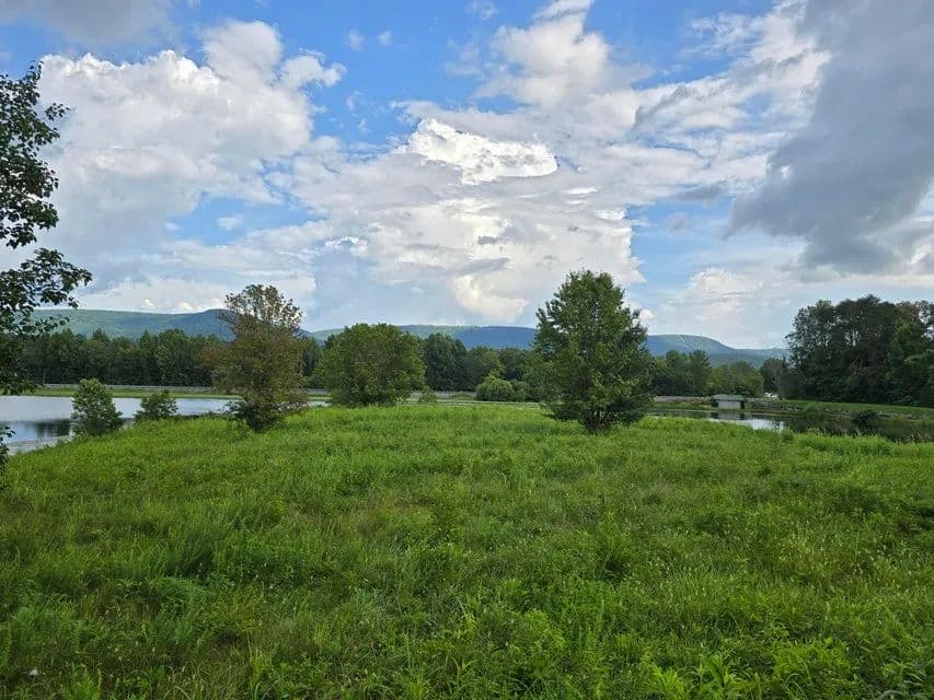 Land -Agricultural (Not Zoned) in Dunlap - Dunlap, Tennessee, 37327