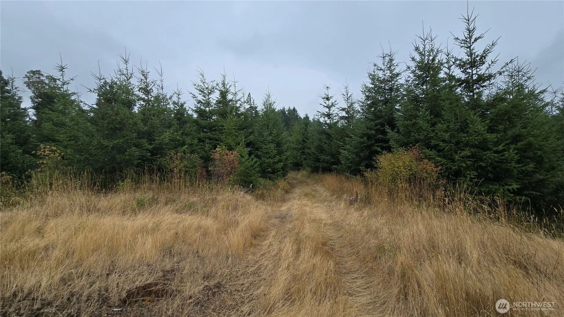 22.64 Acres of Land for Sale in Olympia, WA - Olympia, Washington, 98502