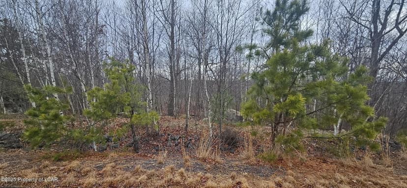 Lots & Land-Other in Hazle Twp