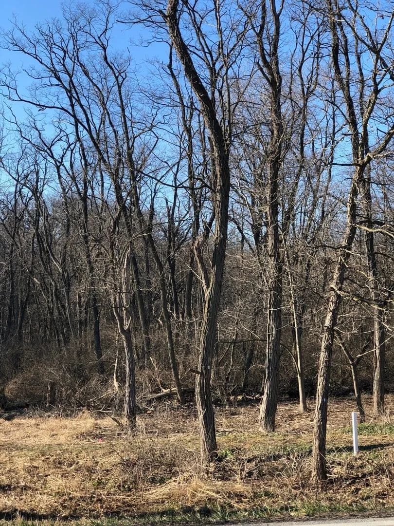 Property from 12940 Hadley #3 Hadley Road - KW - Homer Glen, Illinois, 60491