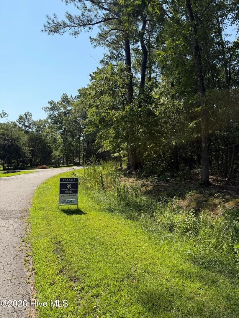 Vacant Land in Oriental - land for sale
