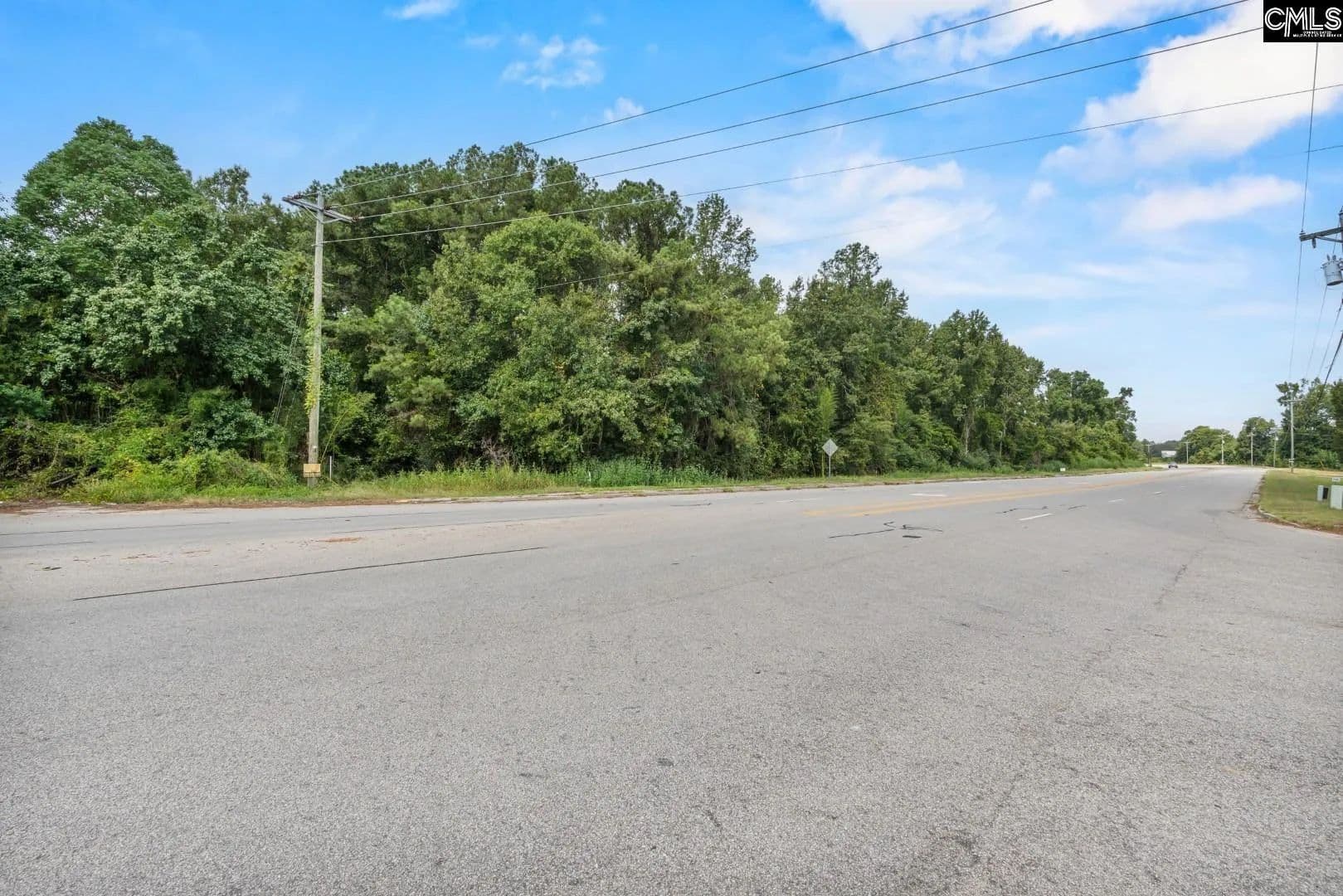 Vacant Land in Orangeburg - Orangeburg, South Carolina, 29115