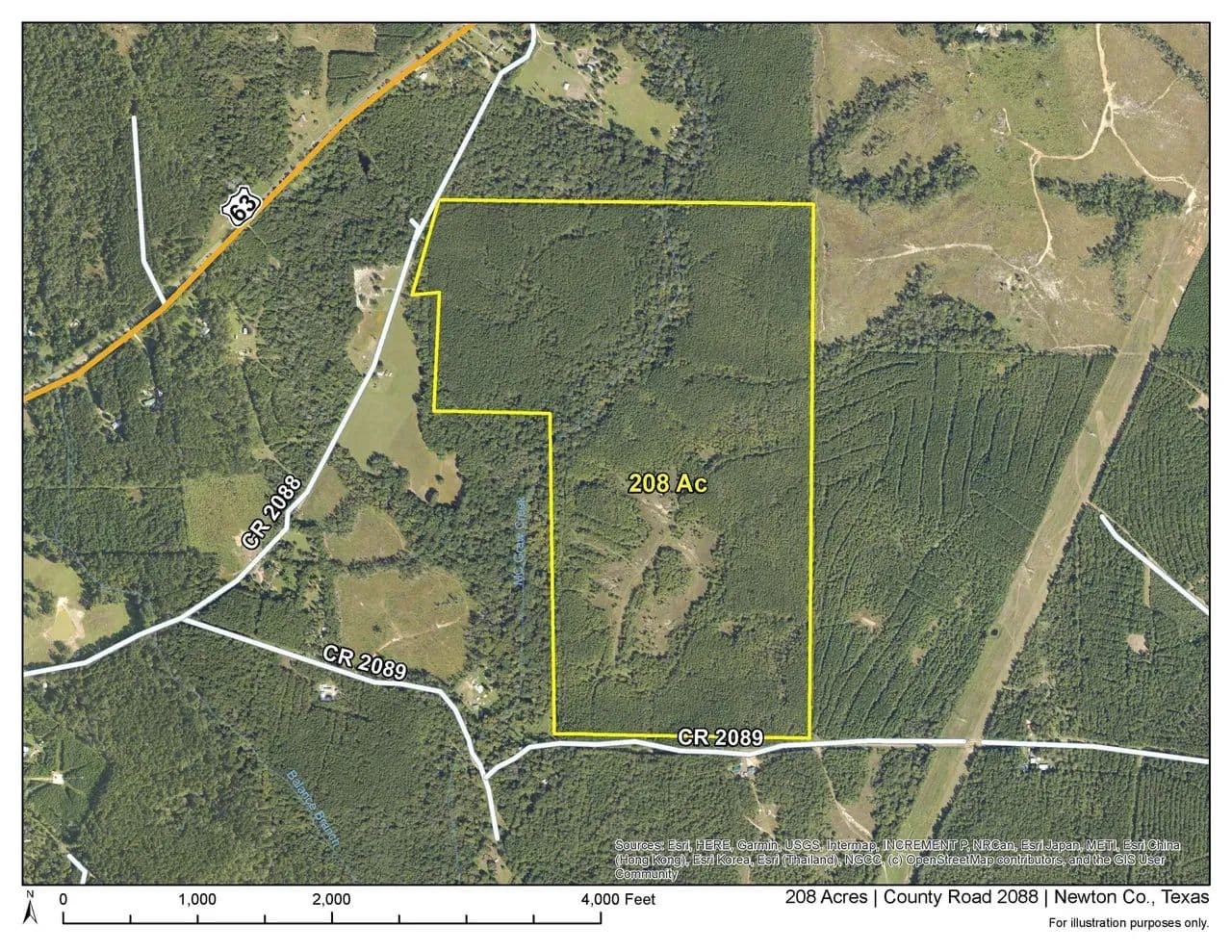 208 Acres | County Road 2088 | 6905 - Burkeville, Texas, 75932