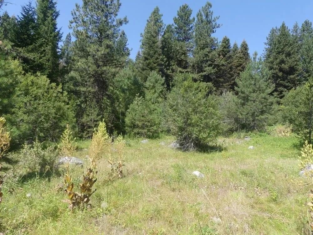 Lots & Land-Other in McCall - Mccall, Idaho, 83638