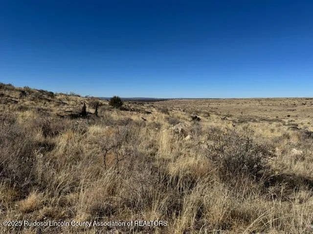 Land -Agricultural (Not Zoned) in Ancho - Ancho, New Mexico, 88301