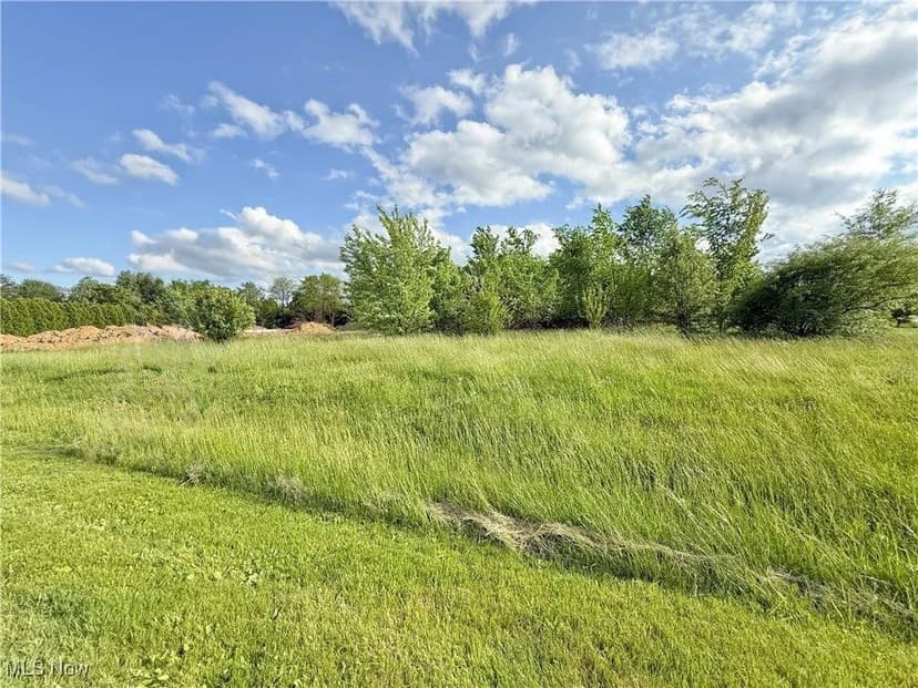 Lots & Land-Other in East Palestine