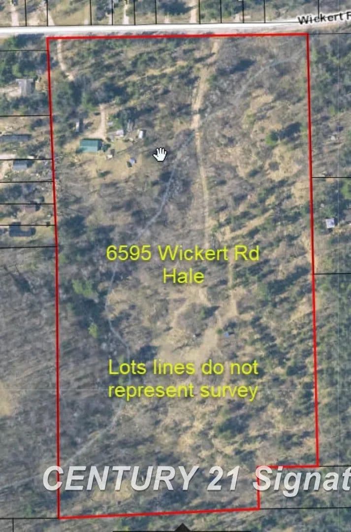 Vacant Land in Hale - Hale, Michigan, 48739