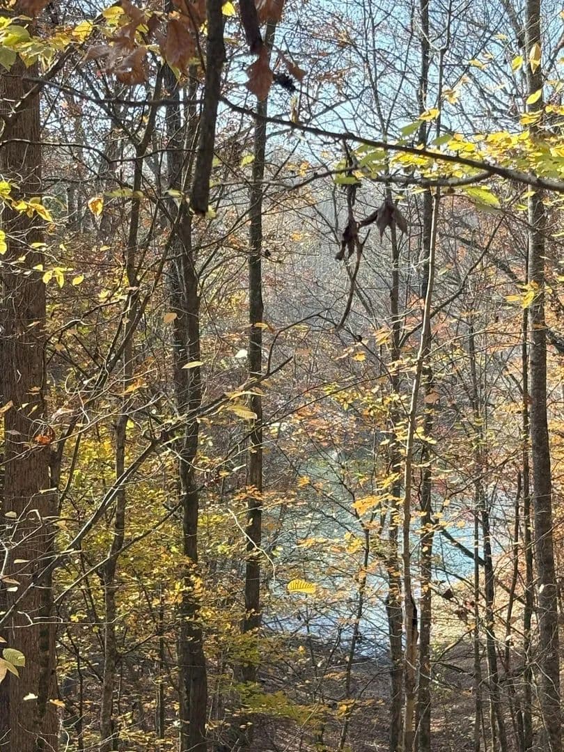 Lots & Land-Other in Estill Springs - Estill Springs, Tennessee, 37330