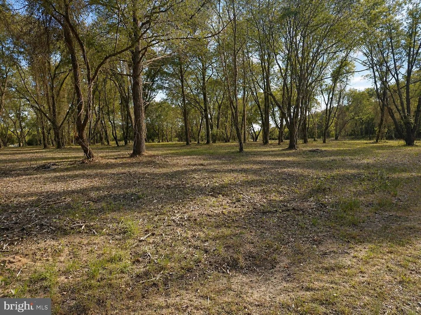 Vacant Land in Nanticoke - Nanticoke, Maryland, 21840