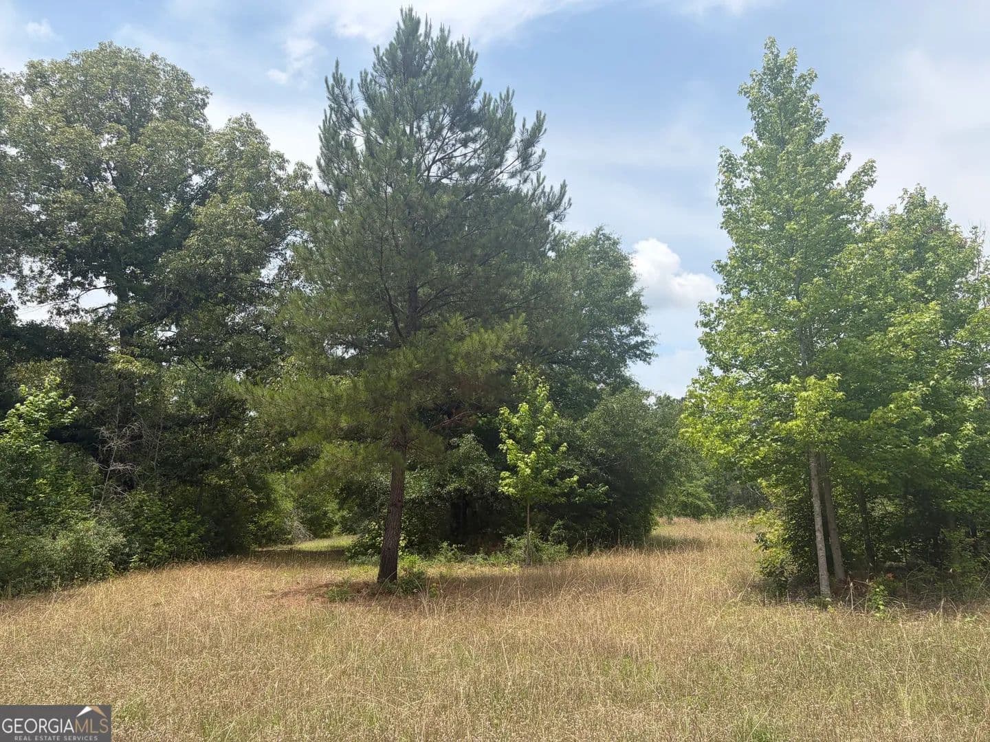 Property from 8 Sunhill Grange Road - KW - Davisboro, Georgia, 31018