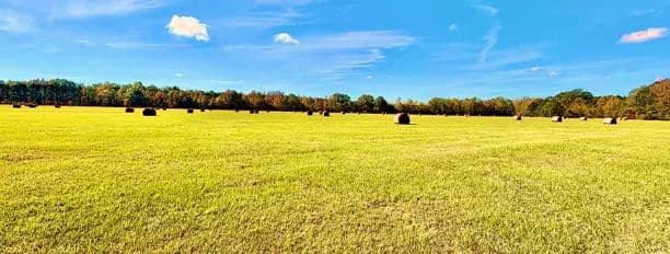 84 Acres in Holmes County in Durant, MS