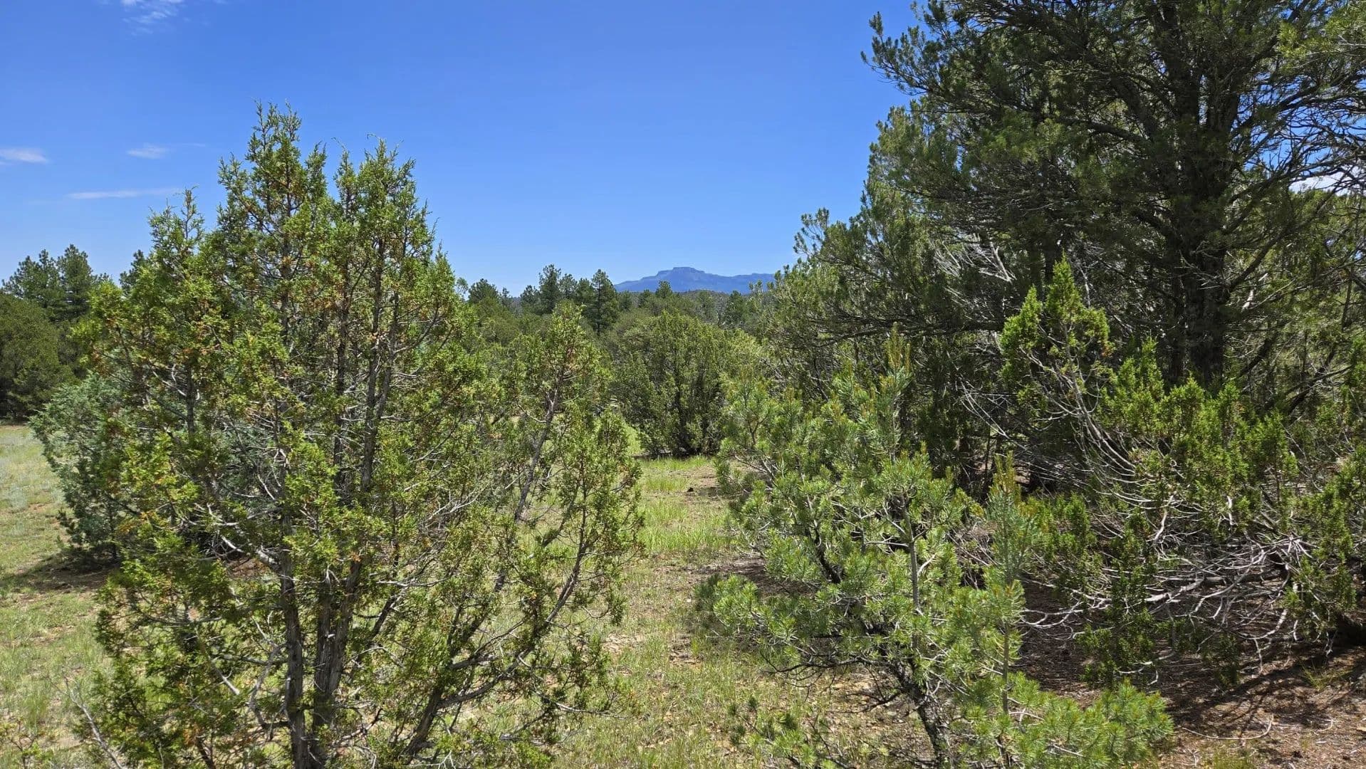 20 Colorado Mountain Lake Est., Trinidad, CO 81082 - Trinidad, Colorado, 81082
