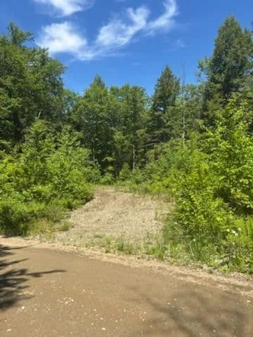 Vacant Land (0-10 Acres) in Liberty - Liberty, Maine, 04949