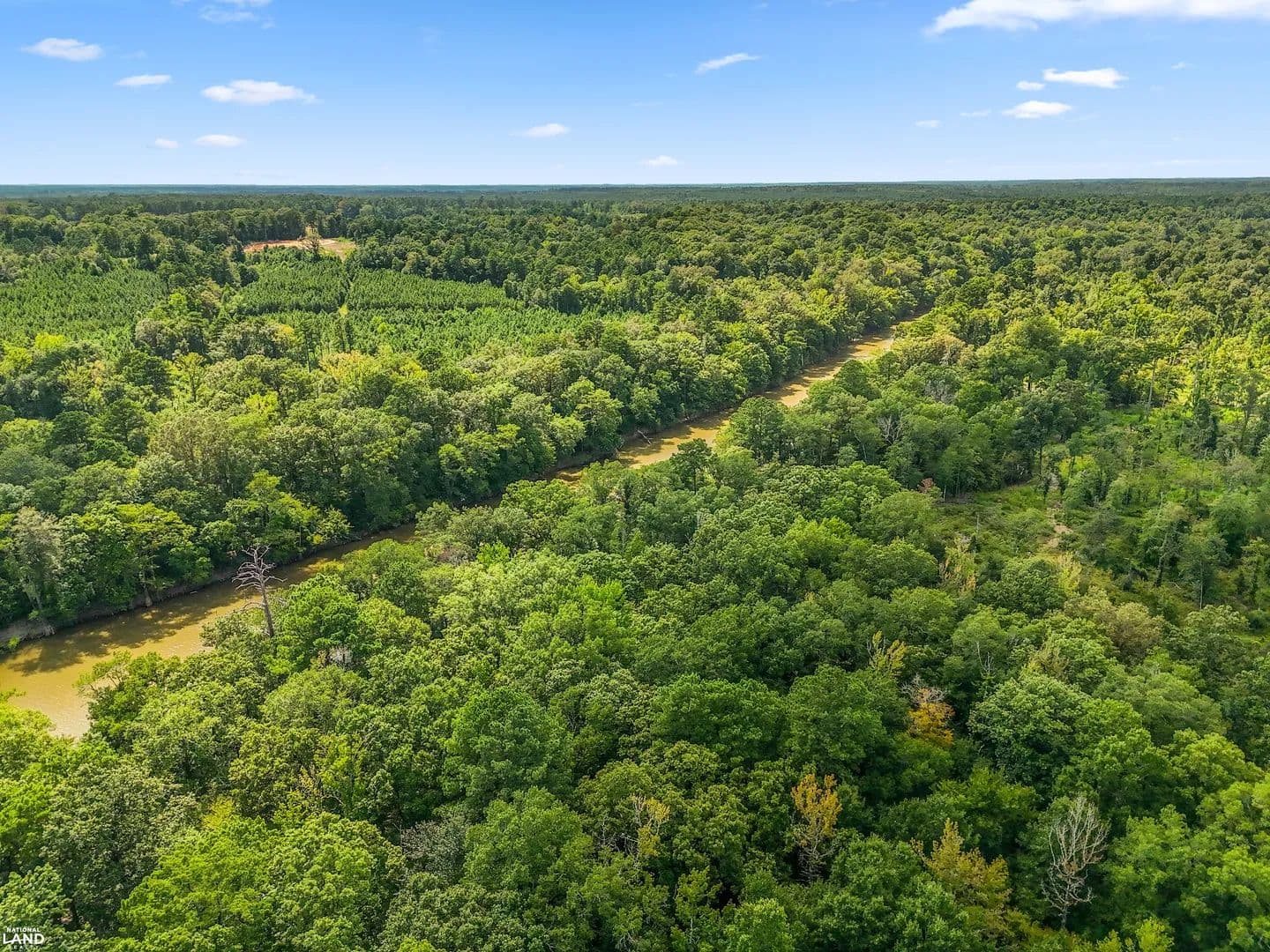Saline River Tract 4 - 94+/- Acres - Lacey, Arkansas, 71675