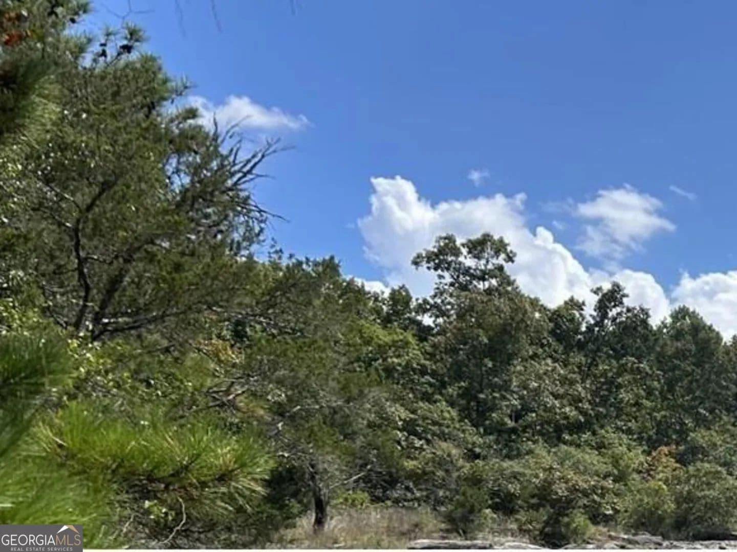 Lots & Land-Other in Conyers - Conyers, Georgia, 30012