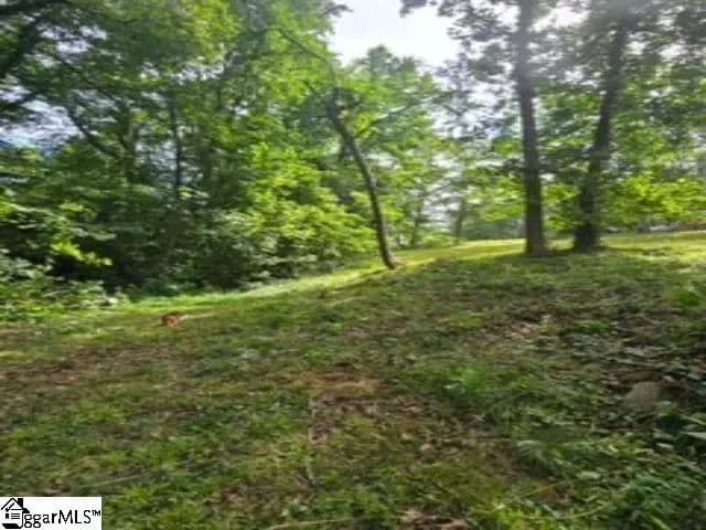 Vacant Land in Greenville