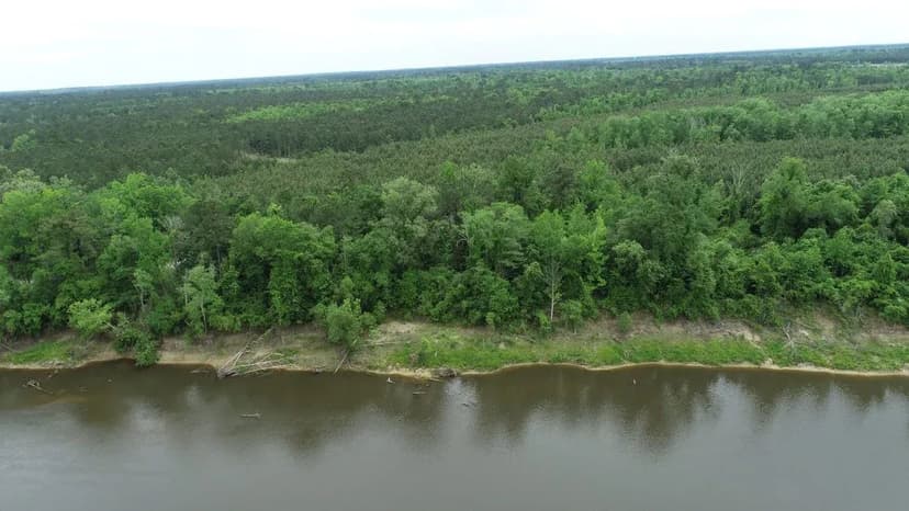 Forest River Tract 10