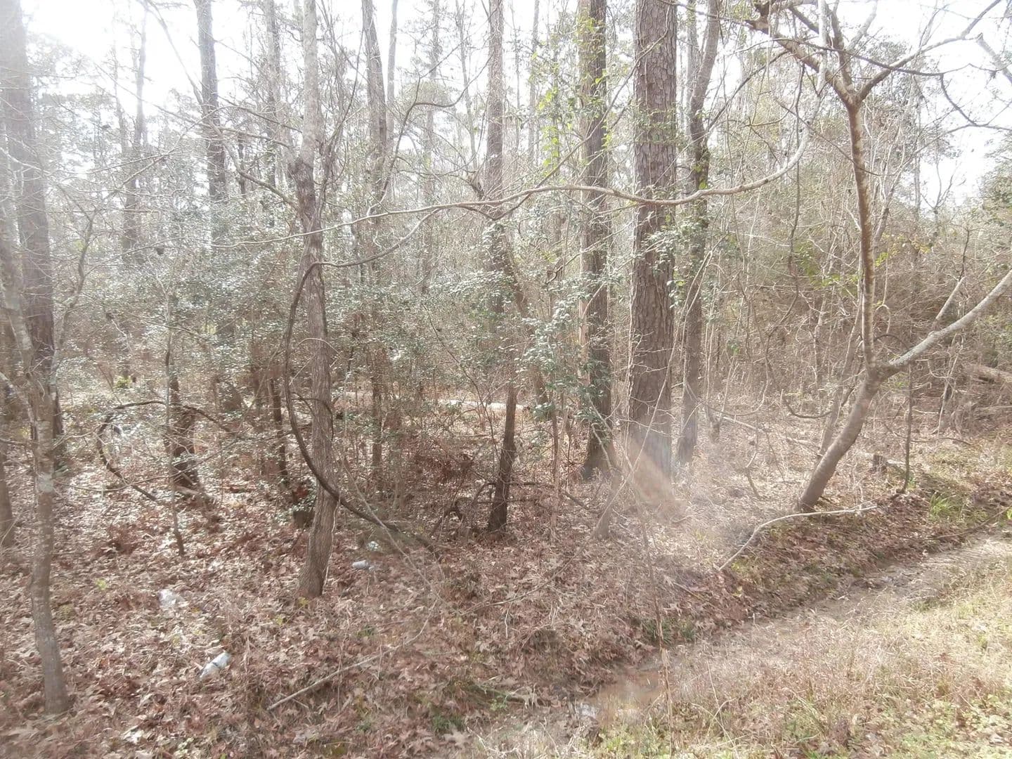 Lots & Land-Other in Beaumont - Beaumont, Texas, 77713