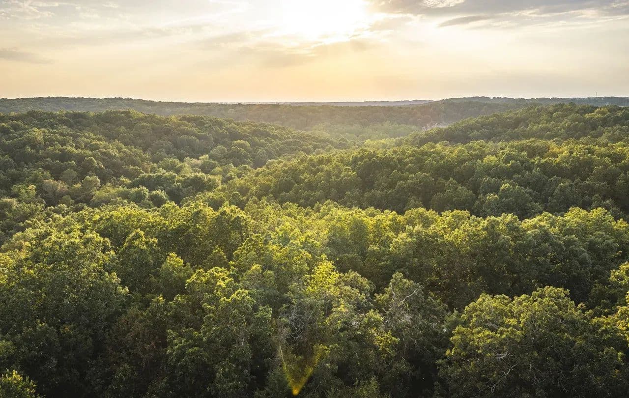Turkey Ridge Cabin - Saint Clair, Missouri, 63077