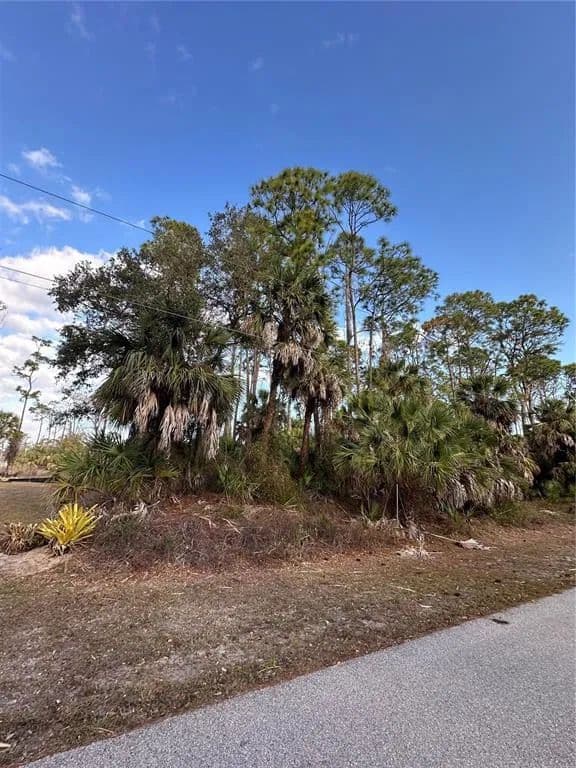 Vacant Land in North Port - land for sale