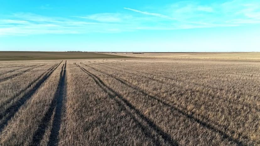 Half Section of Prime Cropland in Washington County