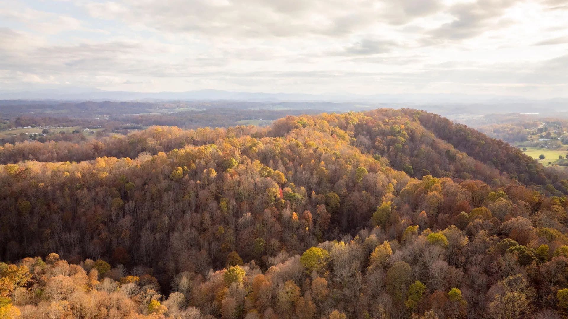 Property from 544 Ethel Beard Road - KW - Blountville, Tennessee, 37617
