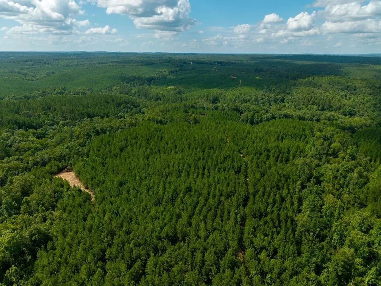 Big rock 2- 77 Acres Hunting Land Verbena, AL - Verbena, Alabama, 36091