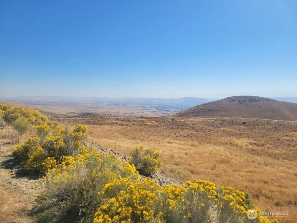 Vacant Land in Yakima - Yakima, Washington, 98901
