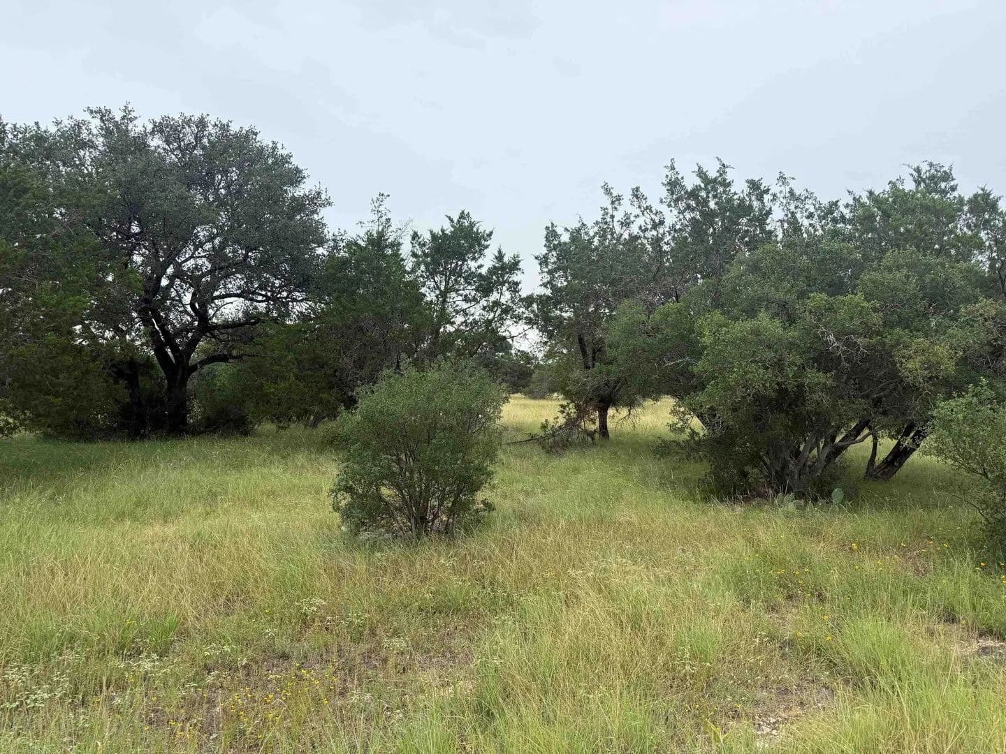 0.23 Acres of Land for Sale in Horseshoe Bay, Texas - Horseshoe Bay, Texas, 78657