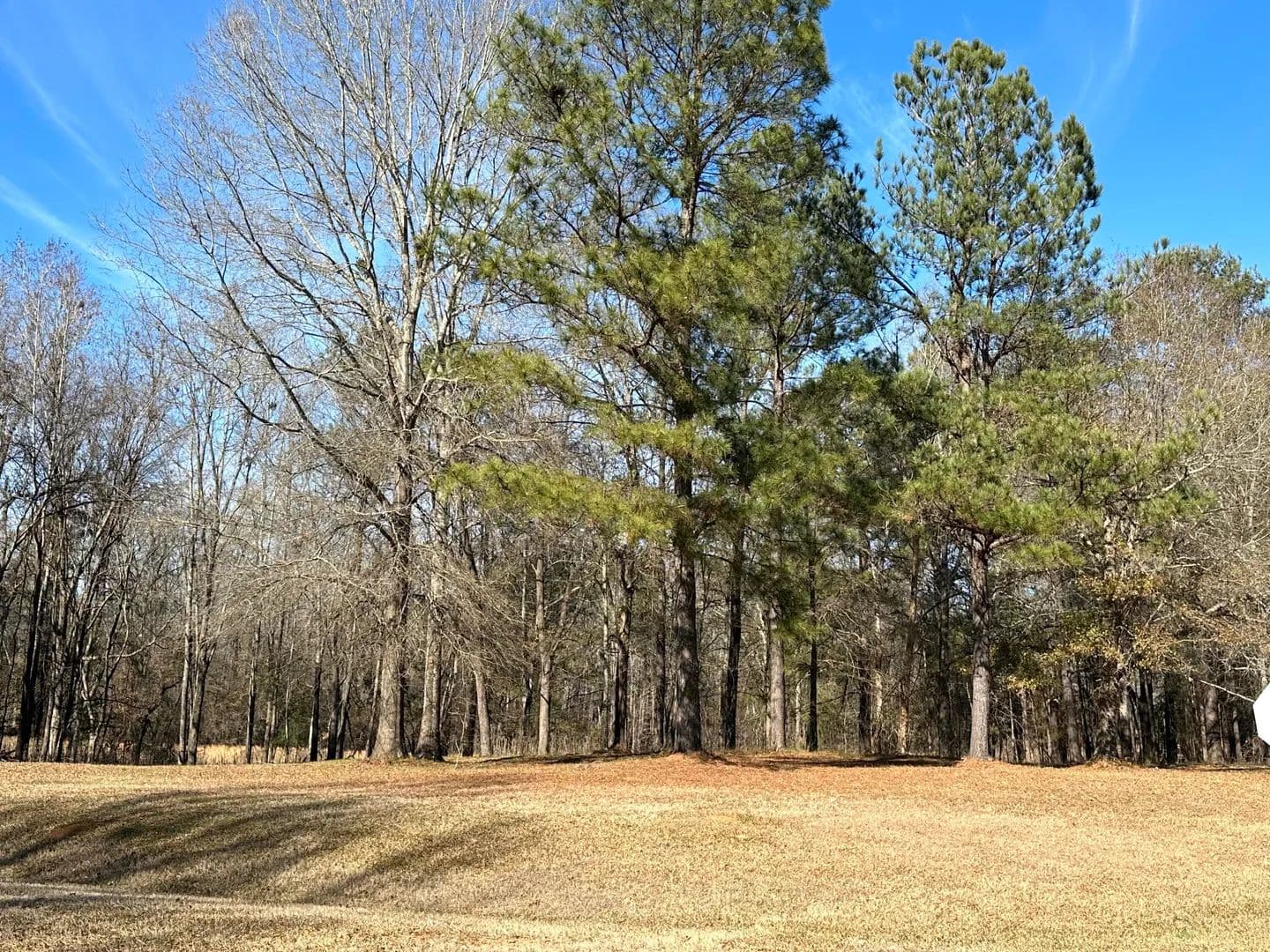 Property from 37 Crestridge Dr (lot 37) Drive - KW - Waynesboro, Georgia, 30830