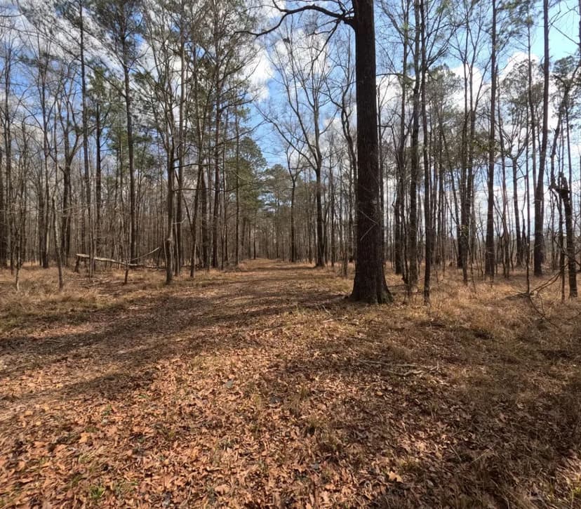 137 Acres Rockport, MS