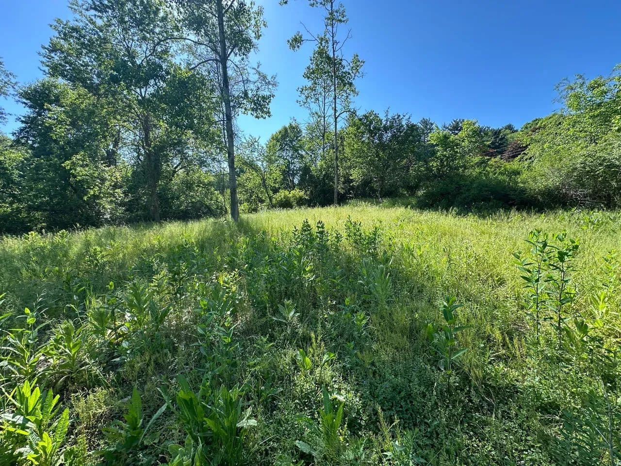 000 RT 356_Pleasant Hill Rd - Leechburg - Westmoreland - 4.55 ± - Leechburg, Pennsylvania, 15656