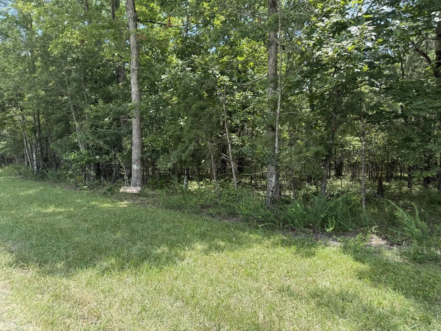 Property from 0 Long Branch Rd - KW - Spencer, Tennessee, 38585