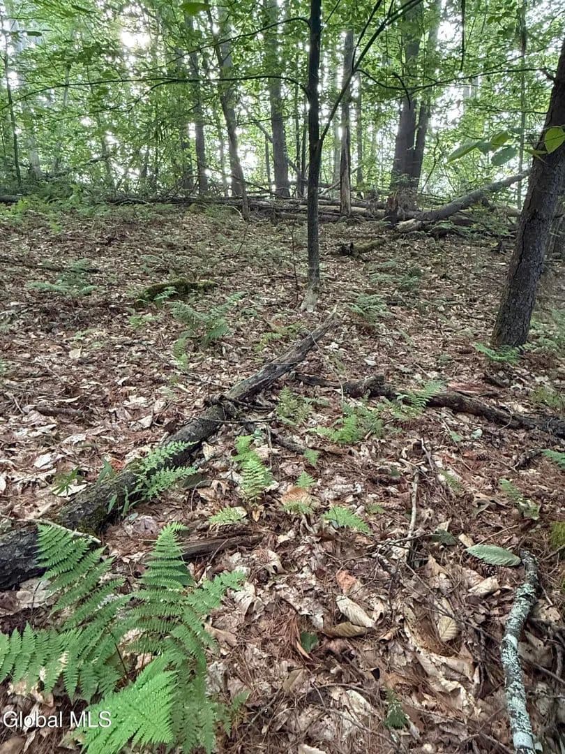 Lots & Land-Other in Bolton - Bolton, New York, 12824