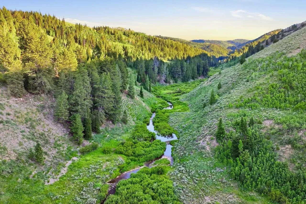 Long Hollow Ranch - Woodruff, Utah, 29388
