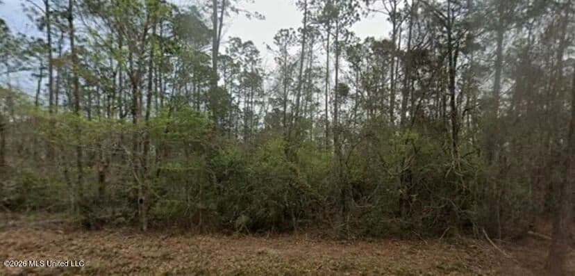 Vacant Land in Diamondhead - Diamondhead, Mississippi, 39525