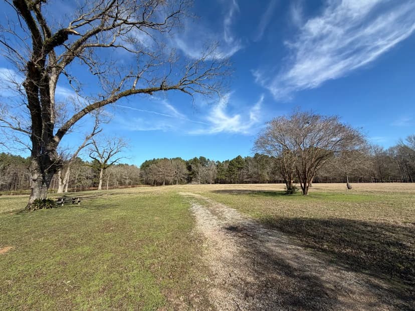 20.02 Acres Clarke County, MS 