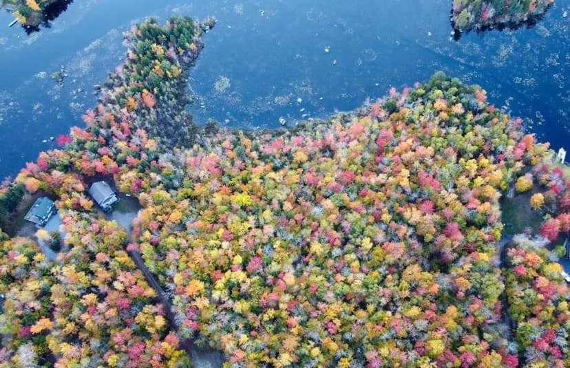 Vacant Land in Washington