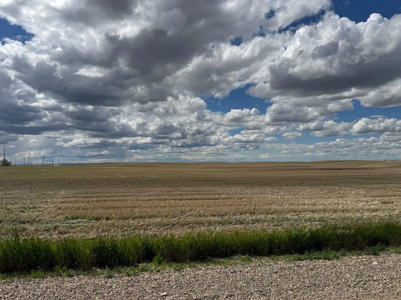 316.97 Acres of Land for Sale in Rural Lethbridge County, AB - land for sale