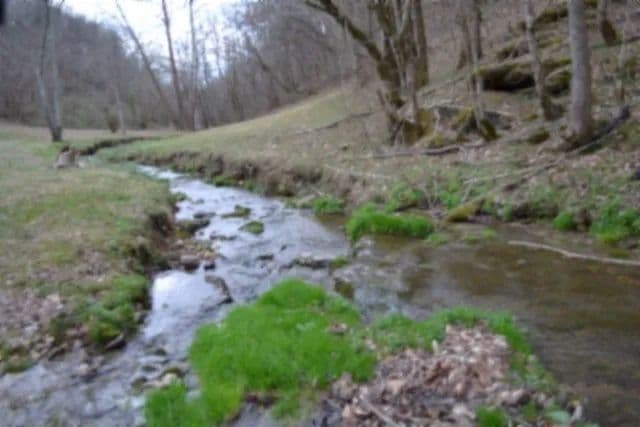 213.68 AC W/ A HOME, BARN, CREEK, CLEARED PASTURE AREAS, TRAILS – ROADS / AT THE DEAD END OF THE ROAD