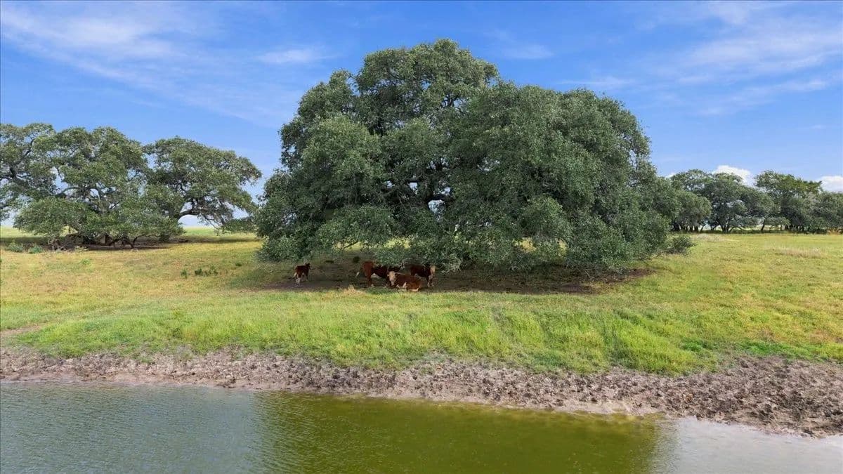 15.09 Acres of Land for Sale in Schulenburg, TX - Schulenburg, Texas, 78956